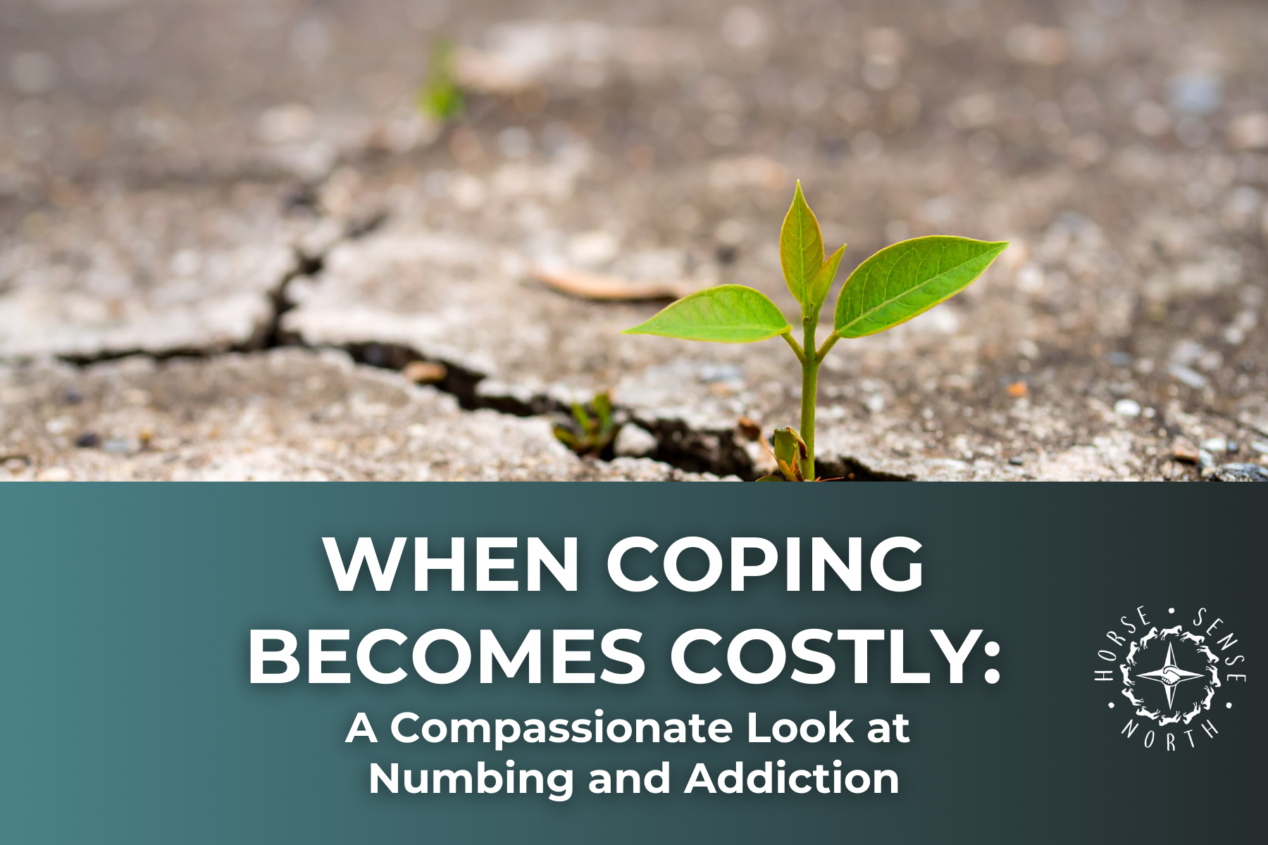 When Coping Becomes Costly:  A Compassionate Look at Numbing and Addiction [FREE virtual workshop]