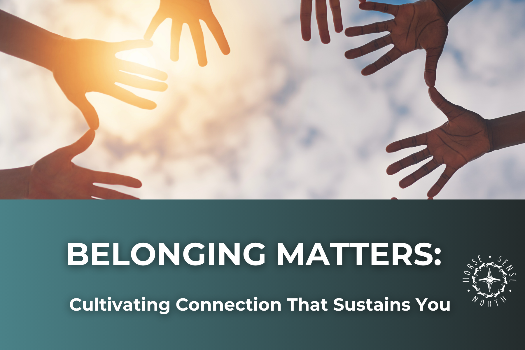 Belonging Matters: Cultivating Connection That Sustains You [FREE virtual workshop]