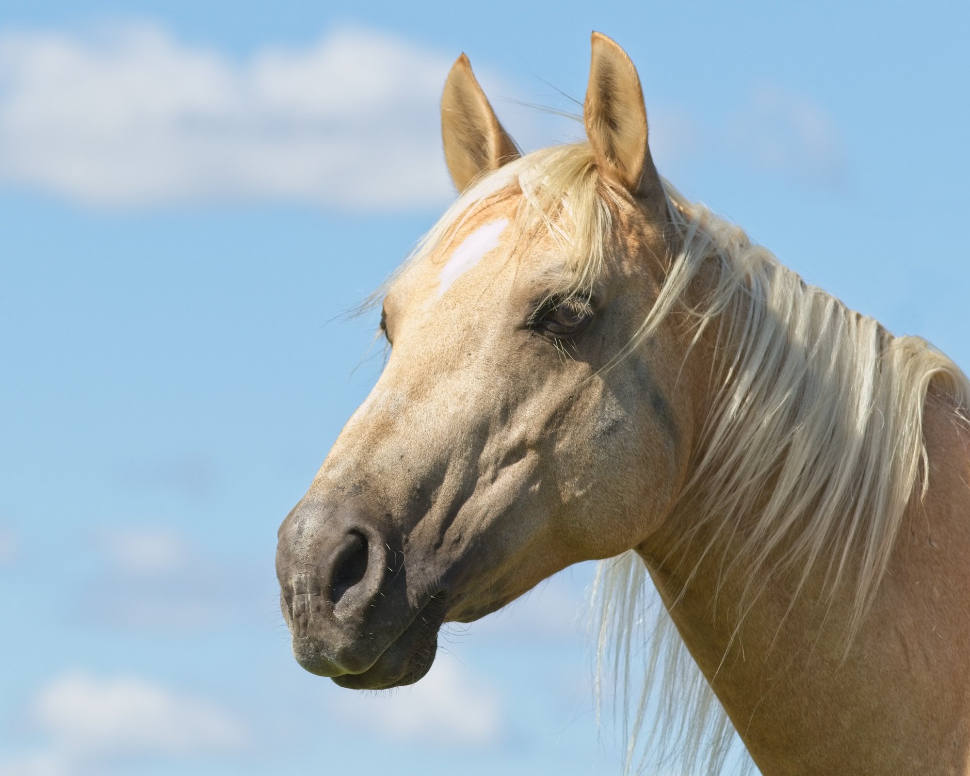 The Courage to Hold Space: Mine, Yours, and What’s In‑Between