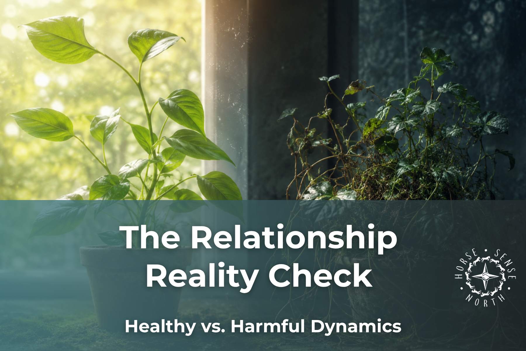 The Relationship Reality Check: Healthy vs. Harmful Dynamics [FREE Virtual Workshop]
