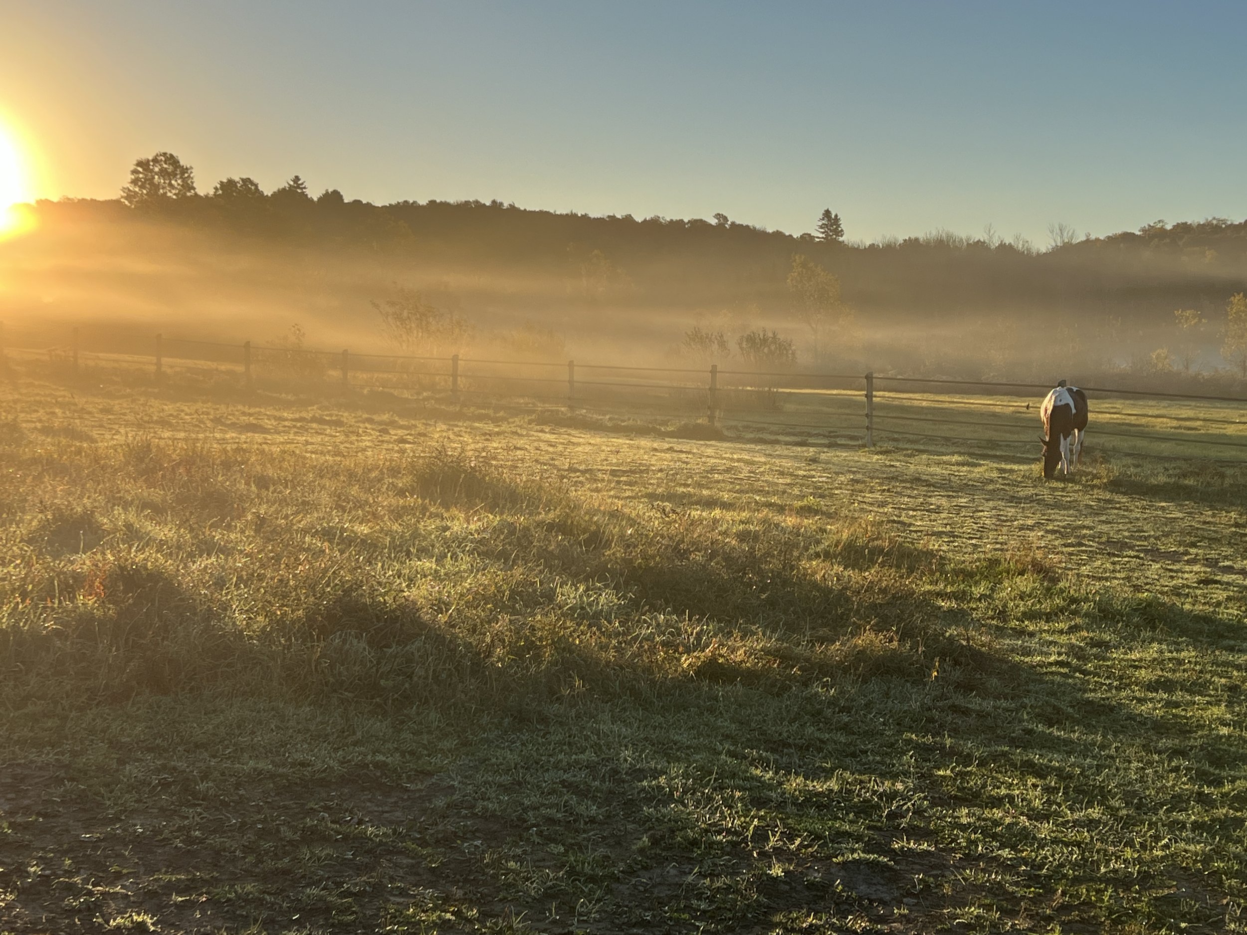 How a Single Step Inward Can Change the Path Forward