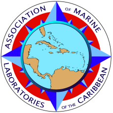 logo en.png