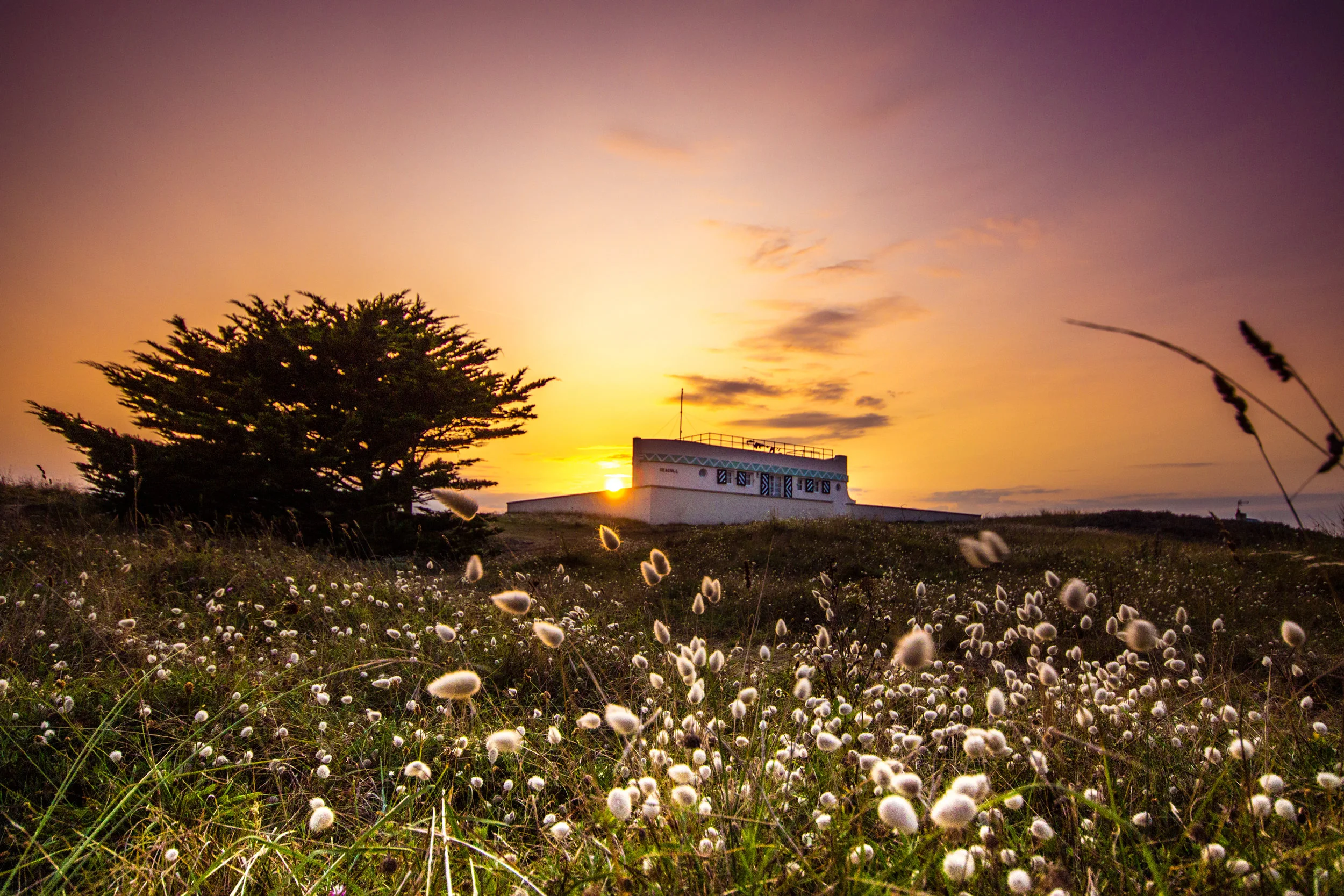 Sunset Barge (Signed, Limited Edition)