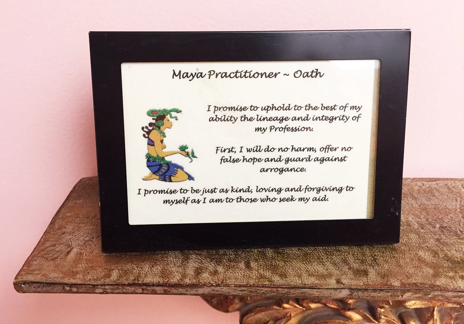 MayaPractitionerOath.jpg