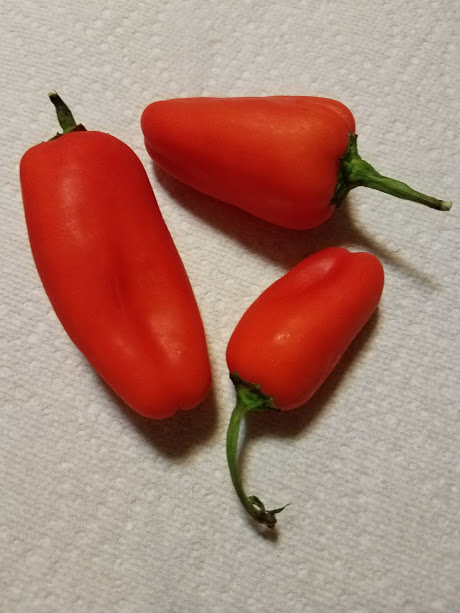 Red peppers.jpg