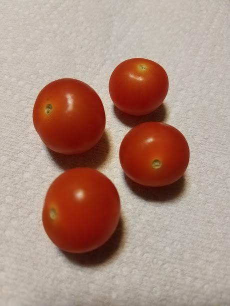 Tomatoes.jpg