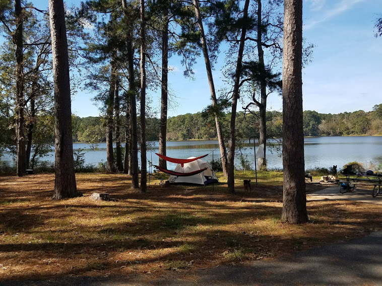 Tent with hammock.jpg