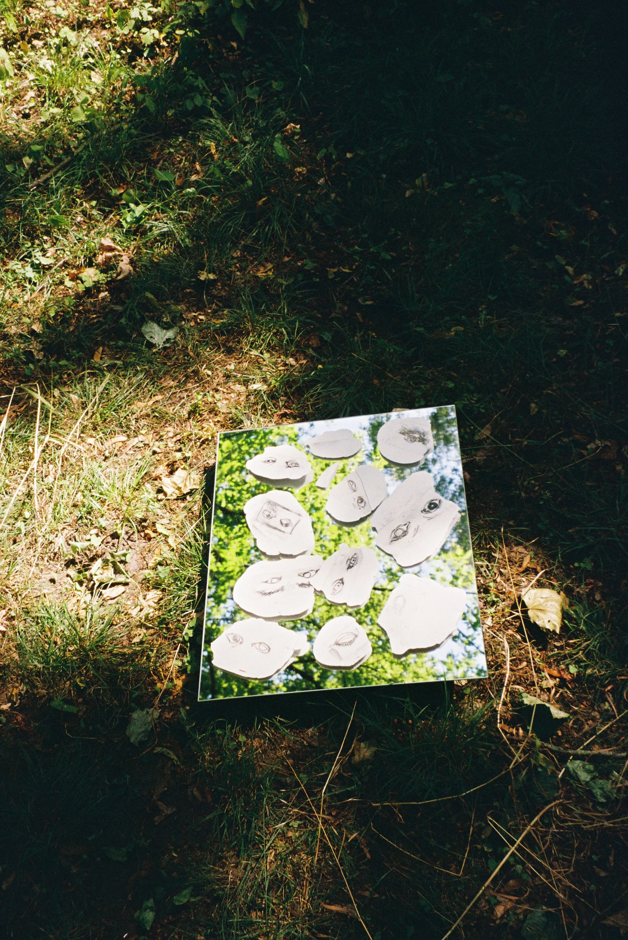 Stefanie Auger-Roy ©