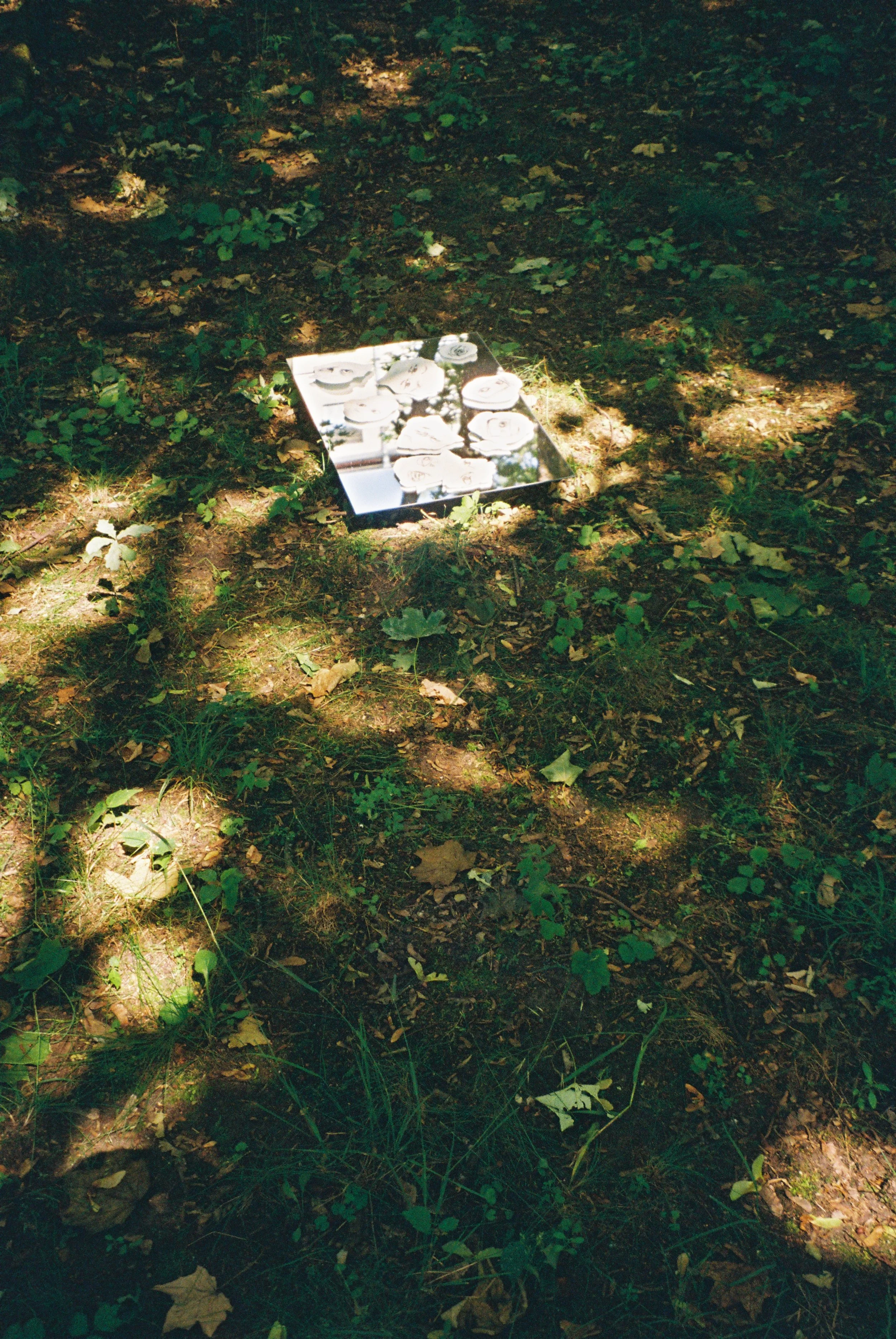 Stefanie Auger-Roy ©