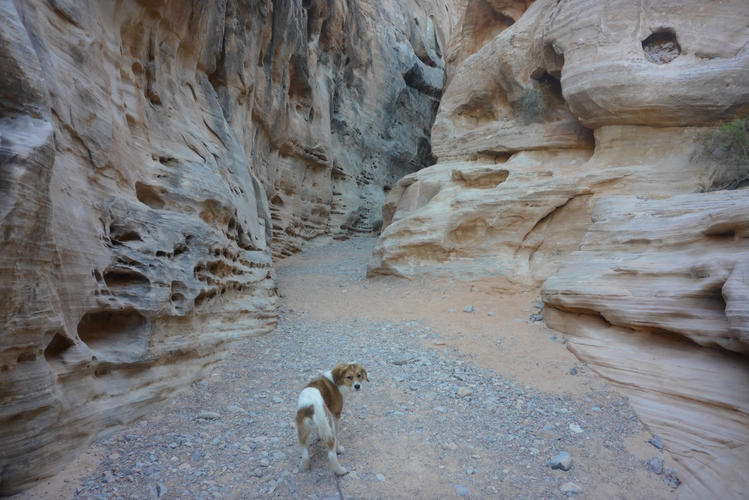 Stop pointing that thing at me!