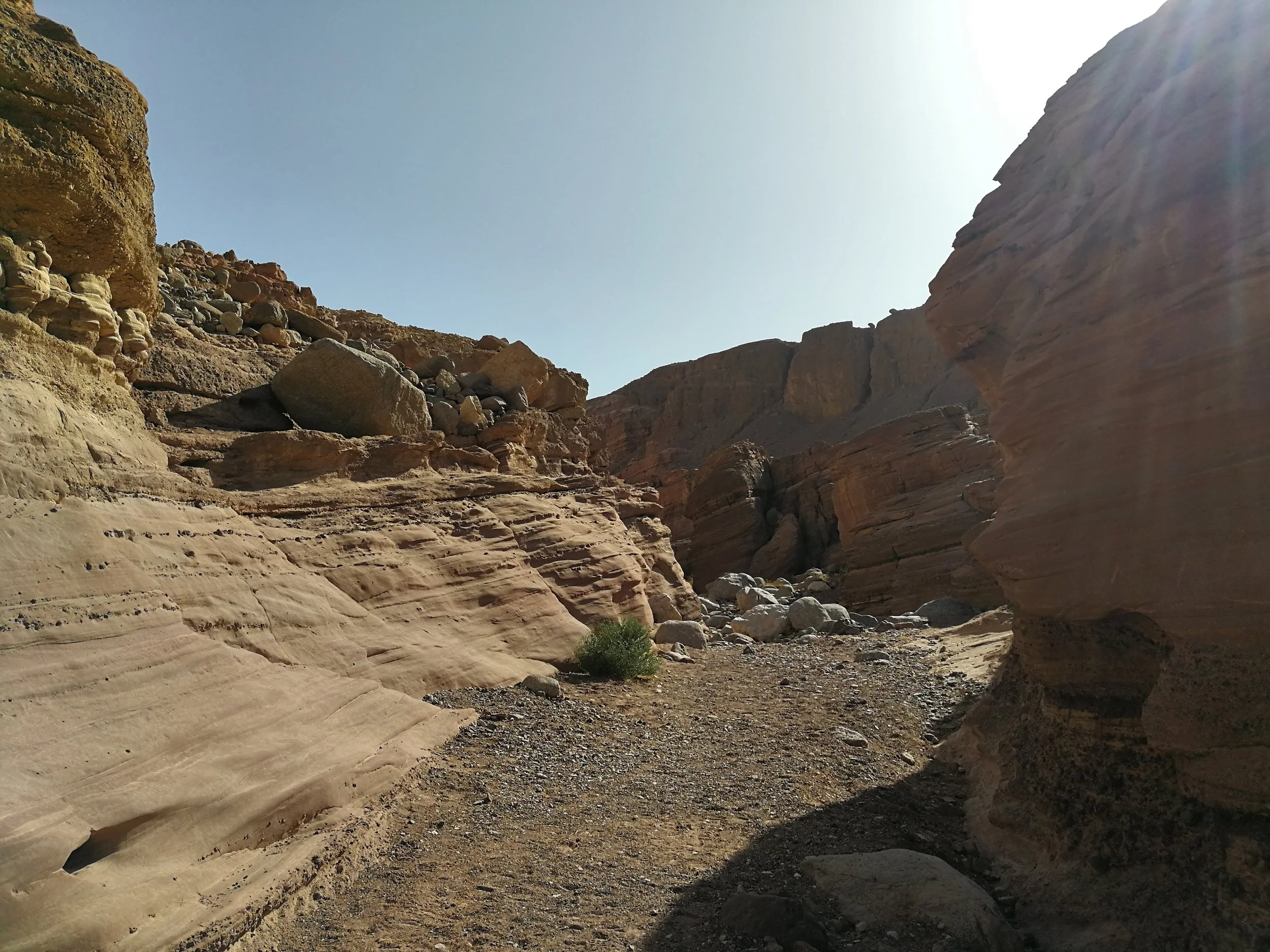 IMG_20180112_134532[1].jpg