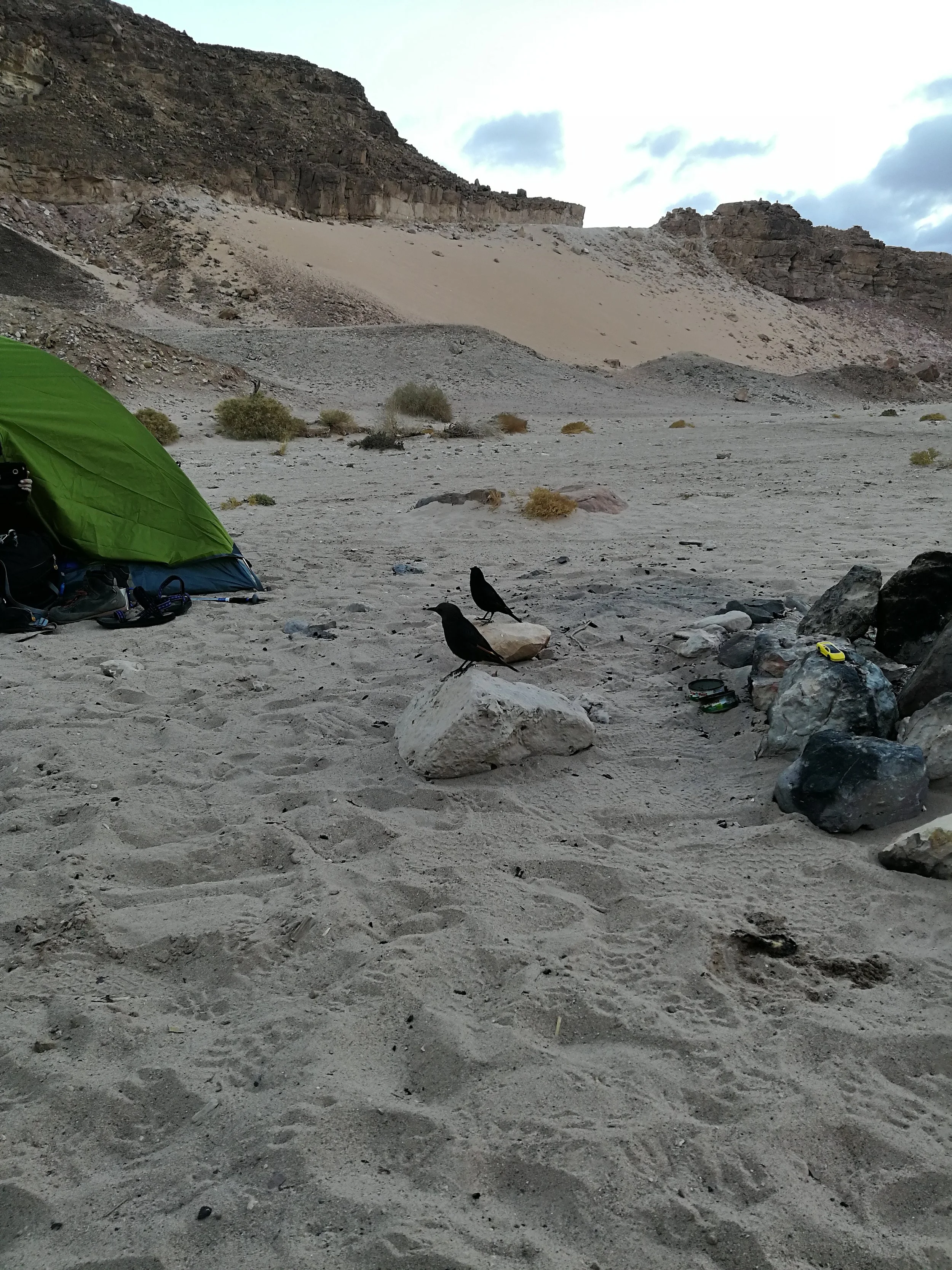 IMG_20180115_064843[1].jpg