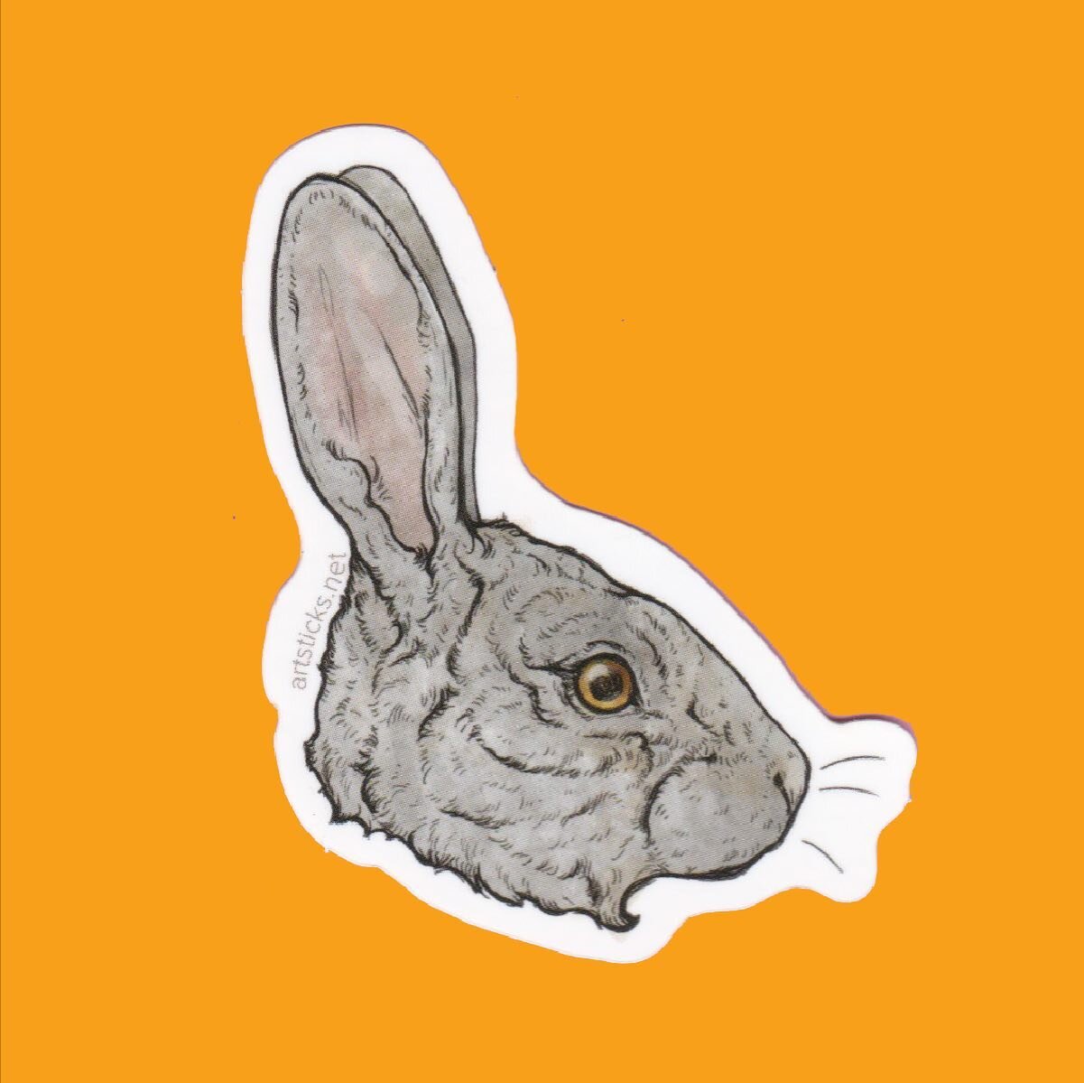 Seen any bunnies lately?? 🐰 Sticker from Series 8 artist @aerica.raven 

Find a vending machine near you!

#rabbit #bunny #bunnyrabbit #bunnylove #sticker #stickers #stickershop #stickerart #art #artwork #boulder #bouldercolorado #colorado #colorado