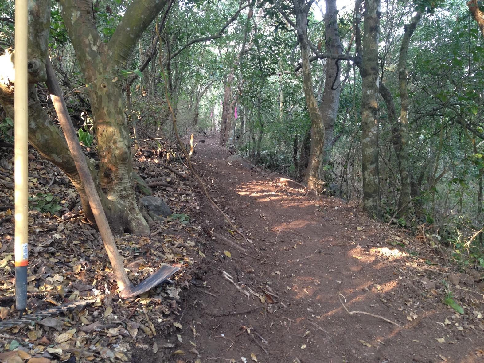 Trail Construction in Mexico.jpg