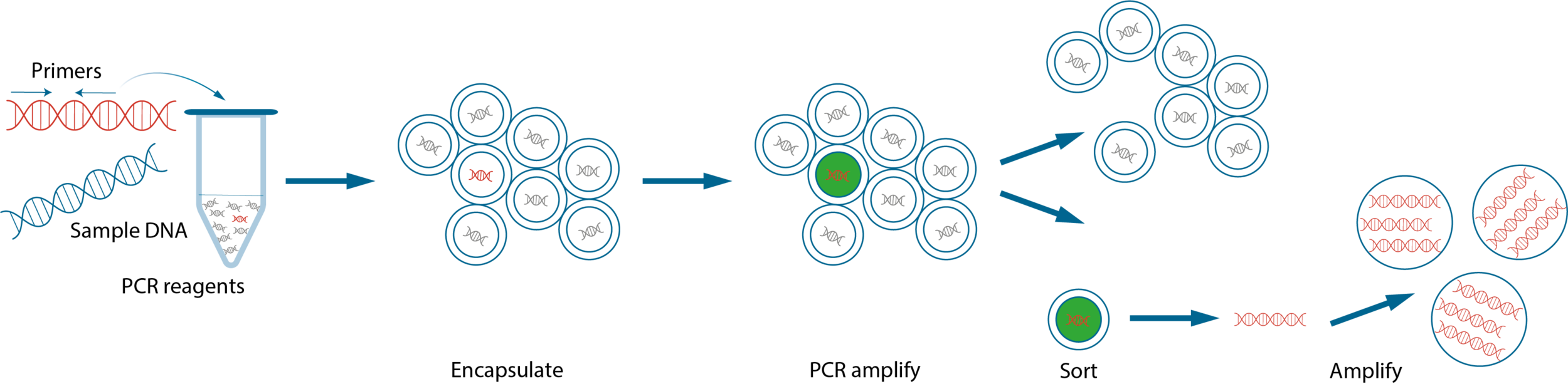 Samplix_Enrichment_20171129.png