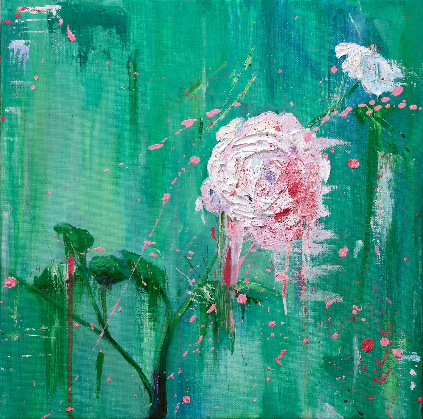 Rose (lockdown), 2020