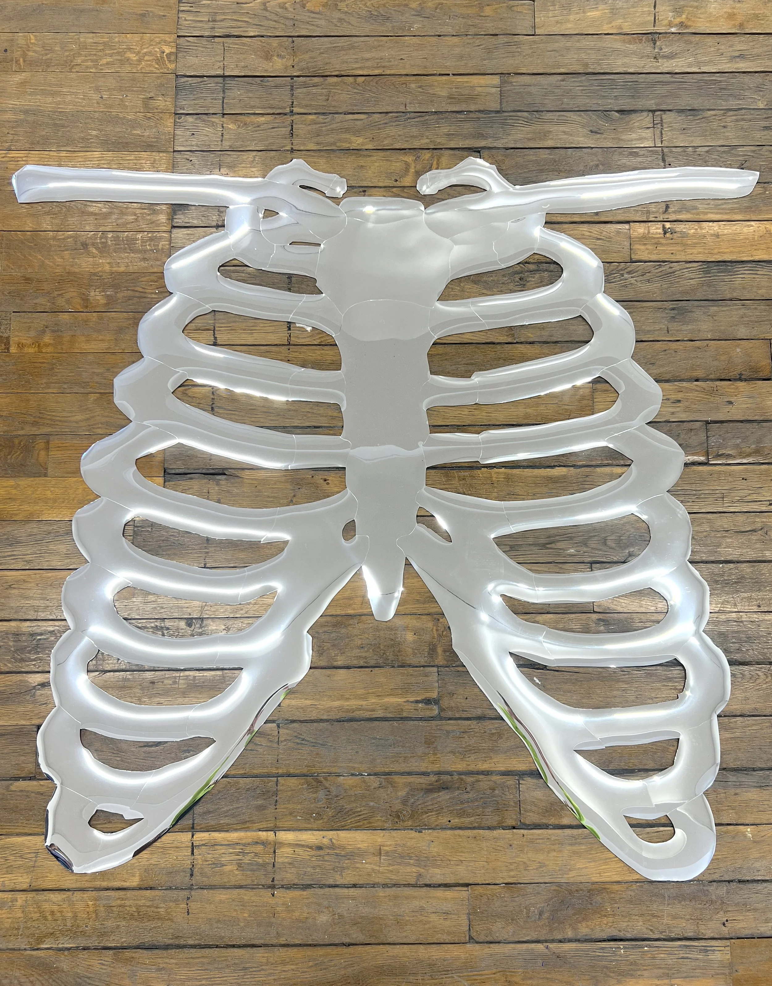 01 Half-Life, 2025 (moth). Copyright Vanessa Brown.jpg