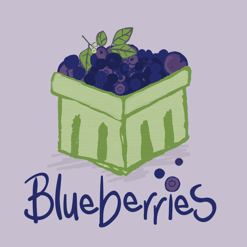 blueberries_branch_text_wip.jpg