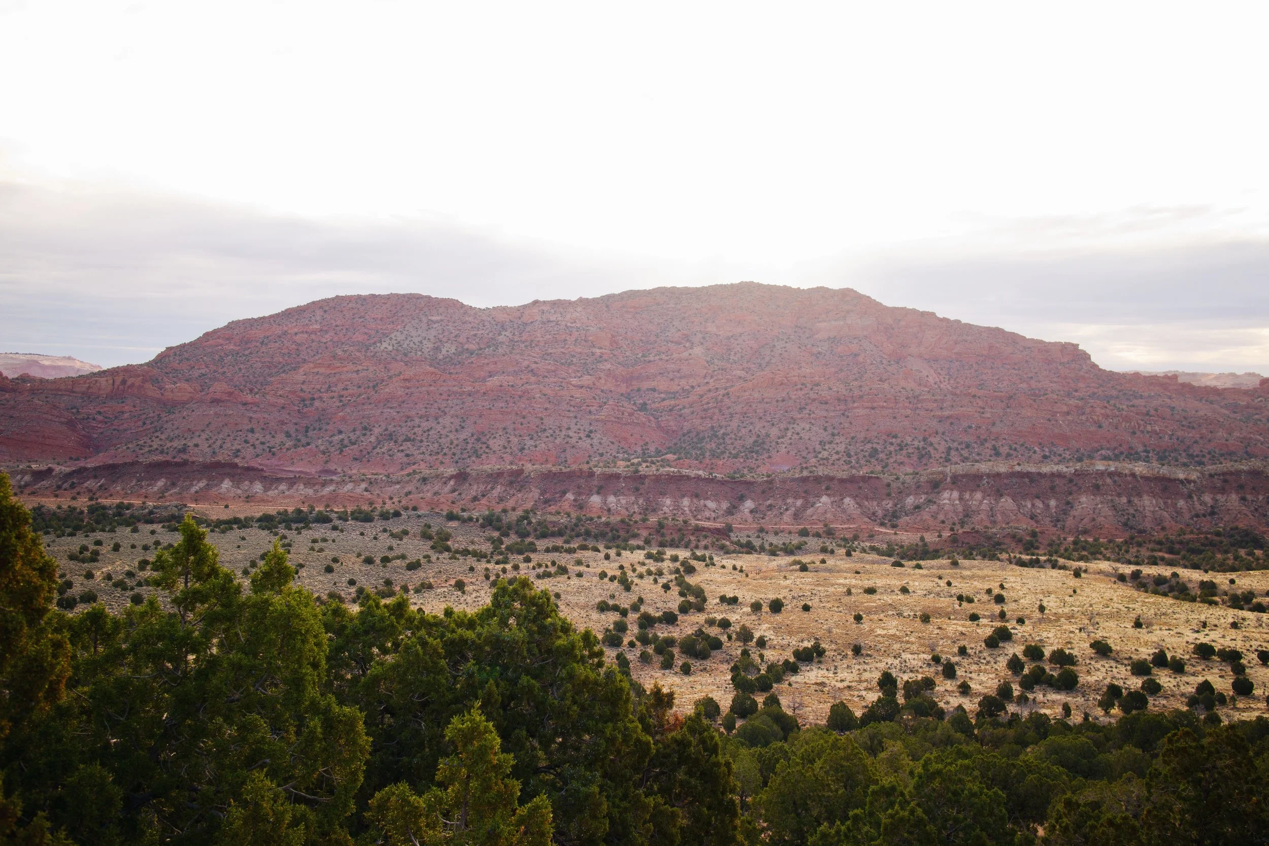 Looking back at the Vermillion Cliffs
