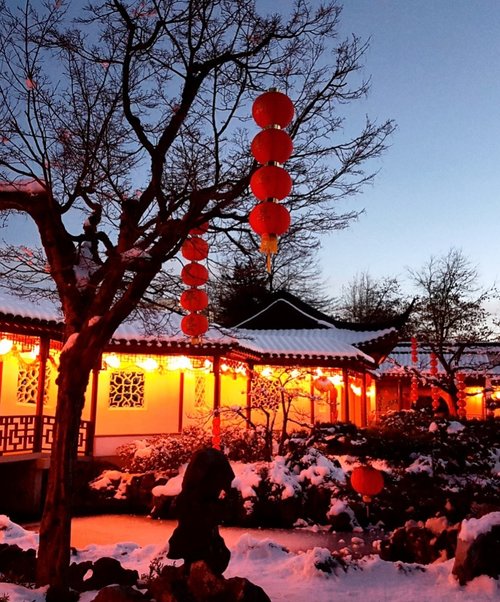 LanternsInGarden.jpg