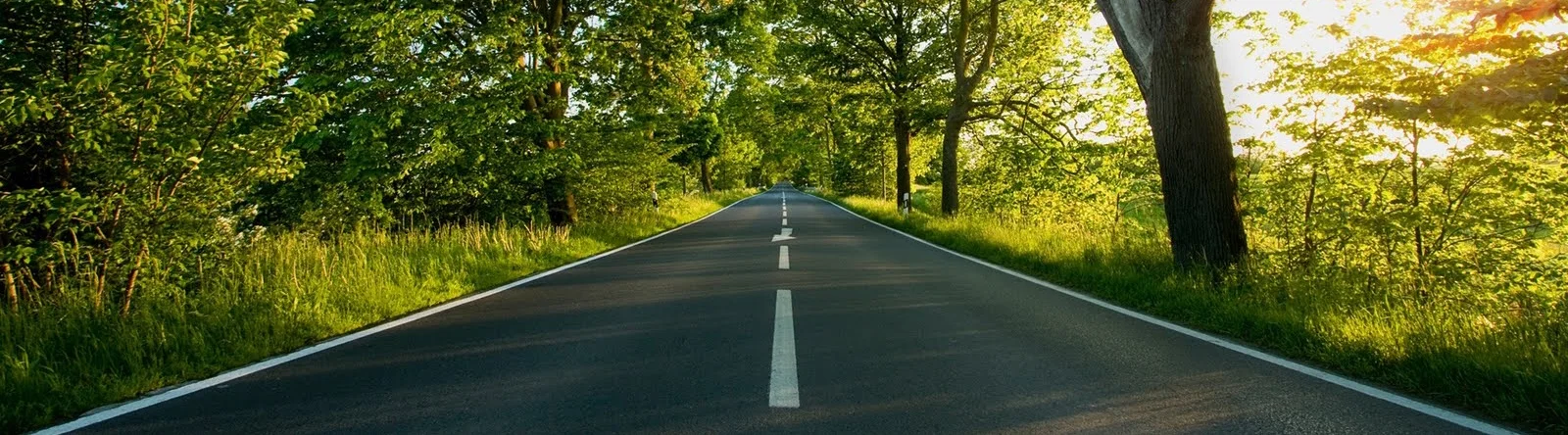 picture of a path 2.jpg