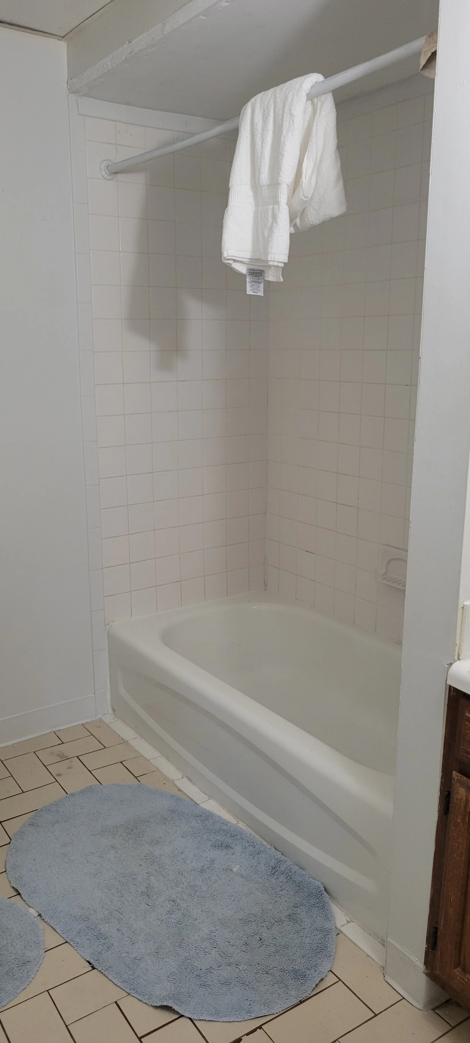 Bathroom before.jpg