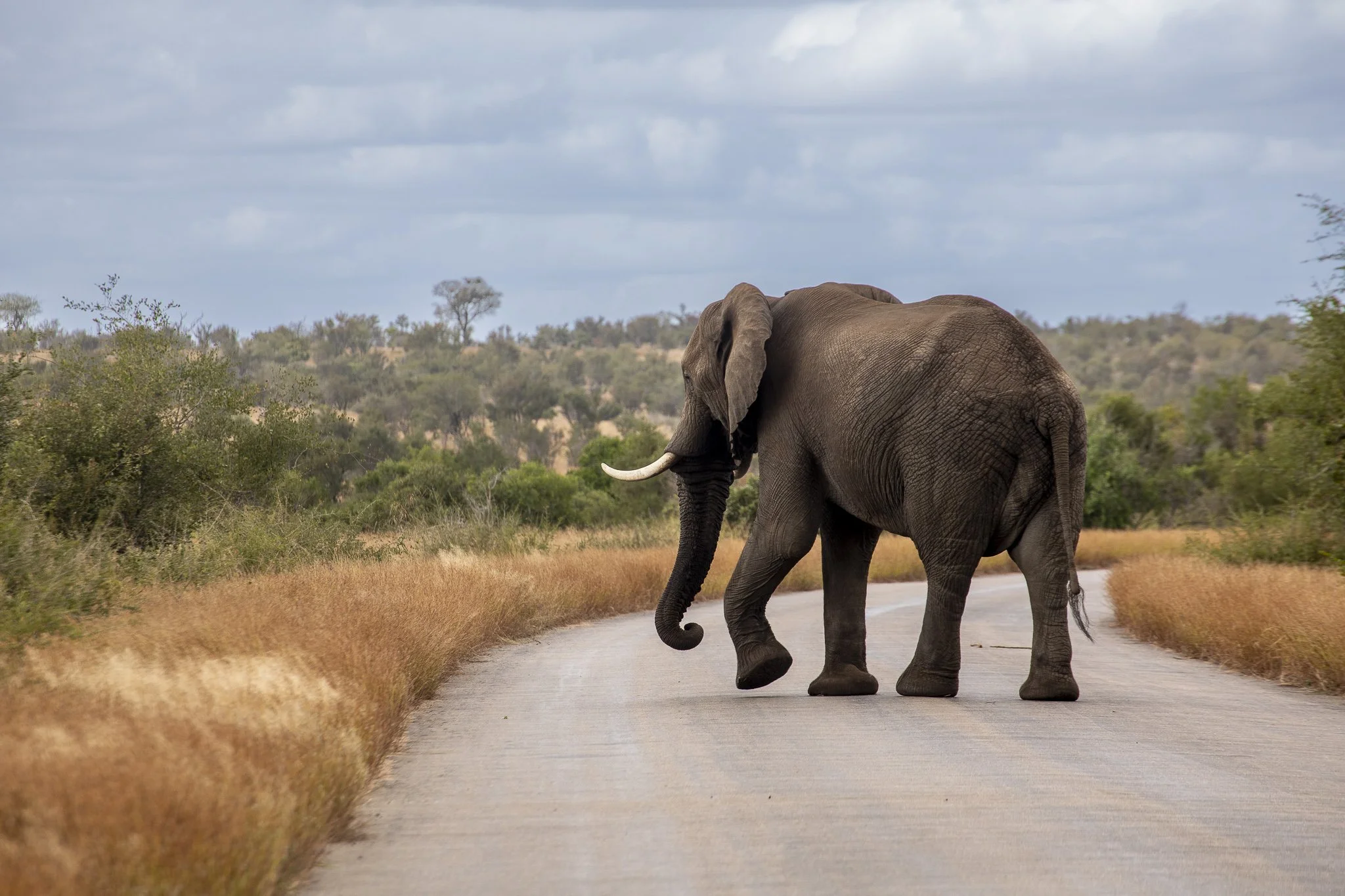 Lower res betheele.jpg