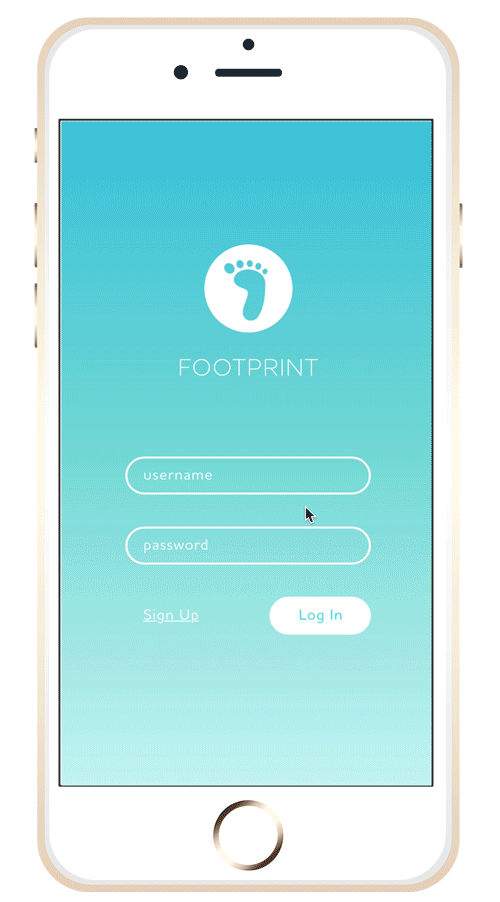 APP+RUNTHROUGH.gif