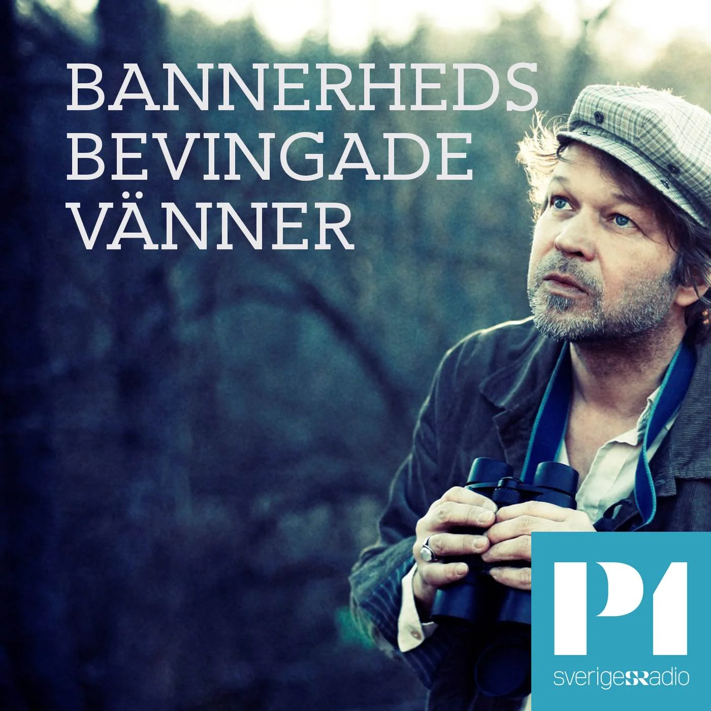 Bannerheds bevingade vänner.jpg