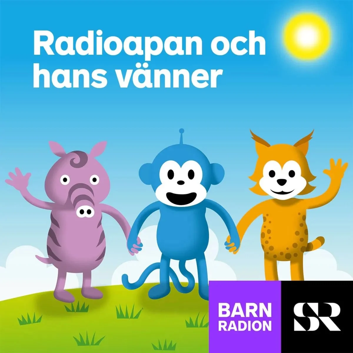 Radioapan podd.jpg