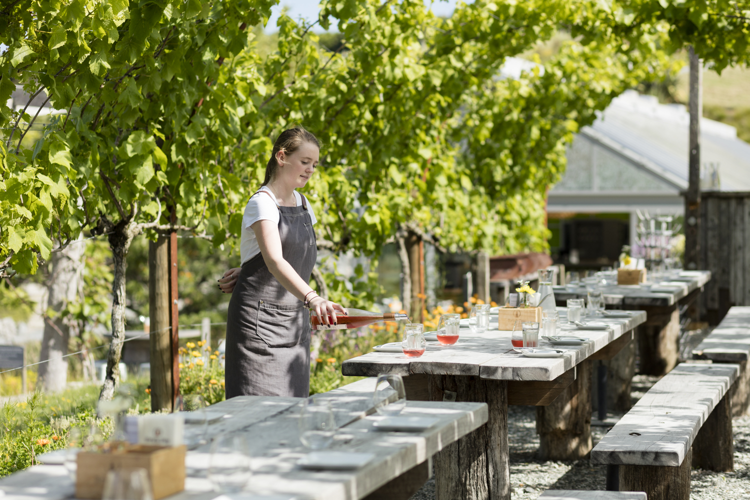 Brick bay table under vines.jpg