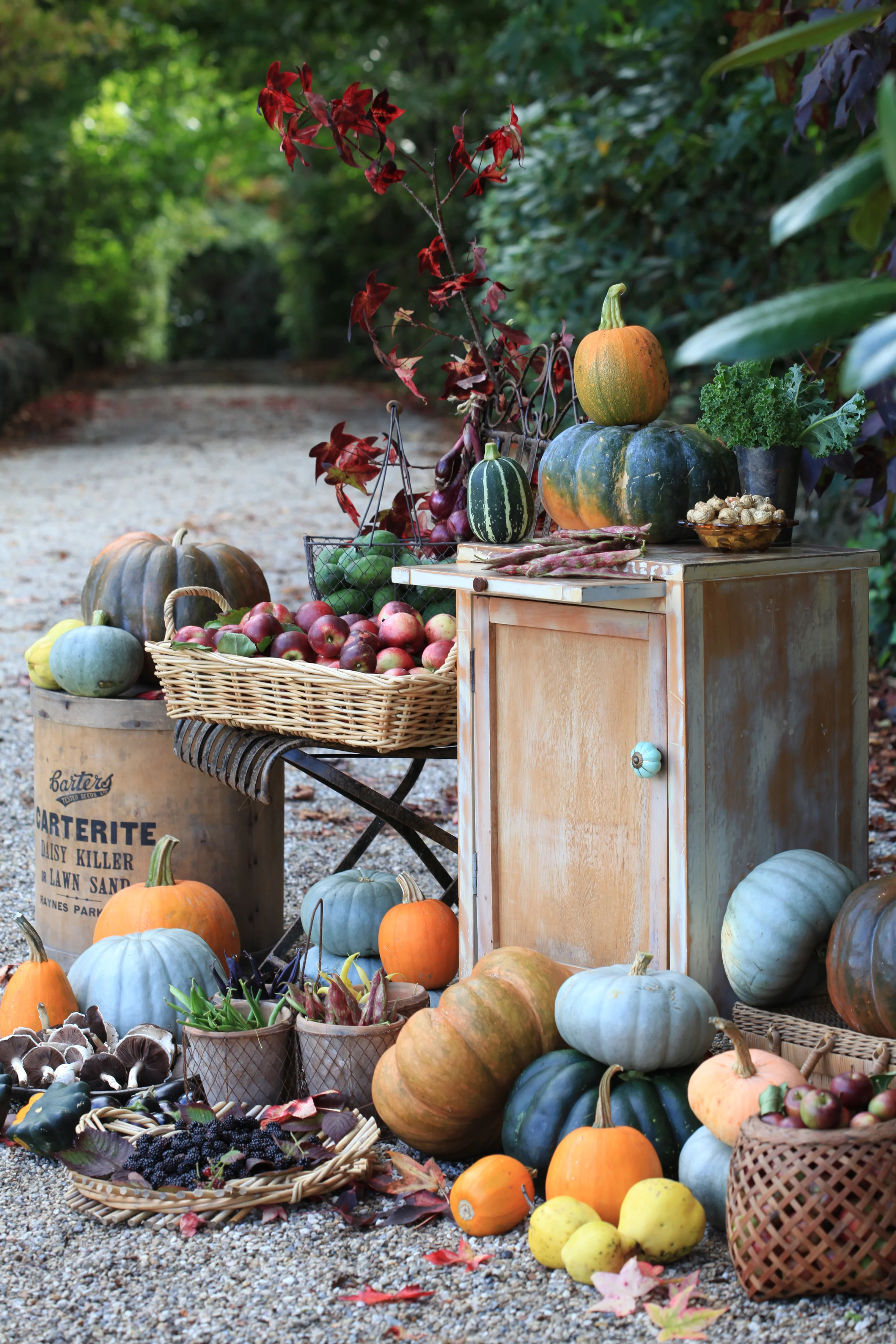 Lynda Hallinan's homegrown harvest. Photo credit: Sally Tagg