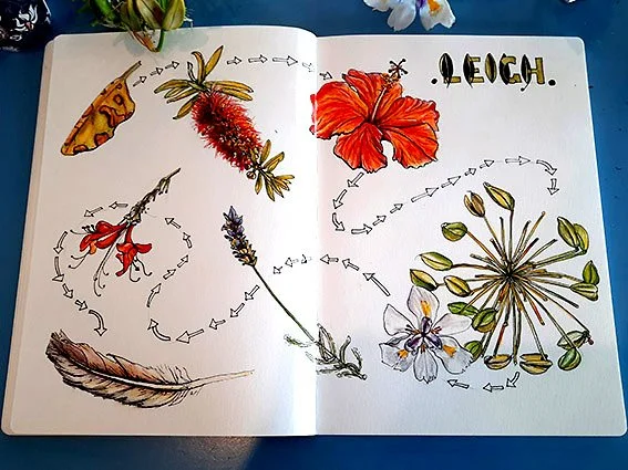 Collections from a Walk.jpg