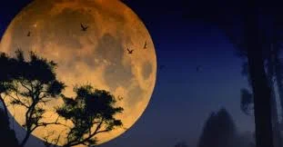 Full Moon Meditation - STRONG SUN MOON