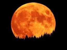 Full Moon Yoga and Guided Meditation Workshop