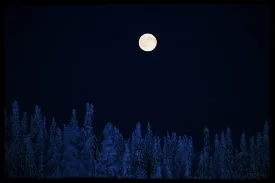Full Moon Meditation - LONG NIGHTS MOON