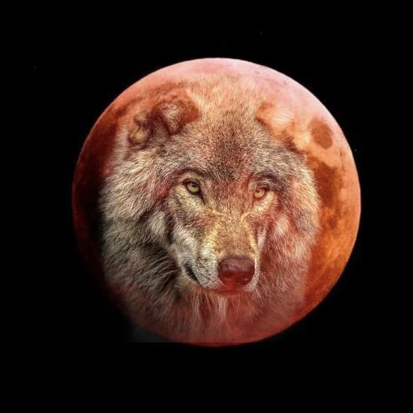 Super Blood Wolf Moon Meditation