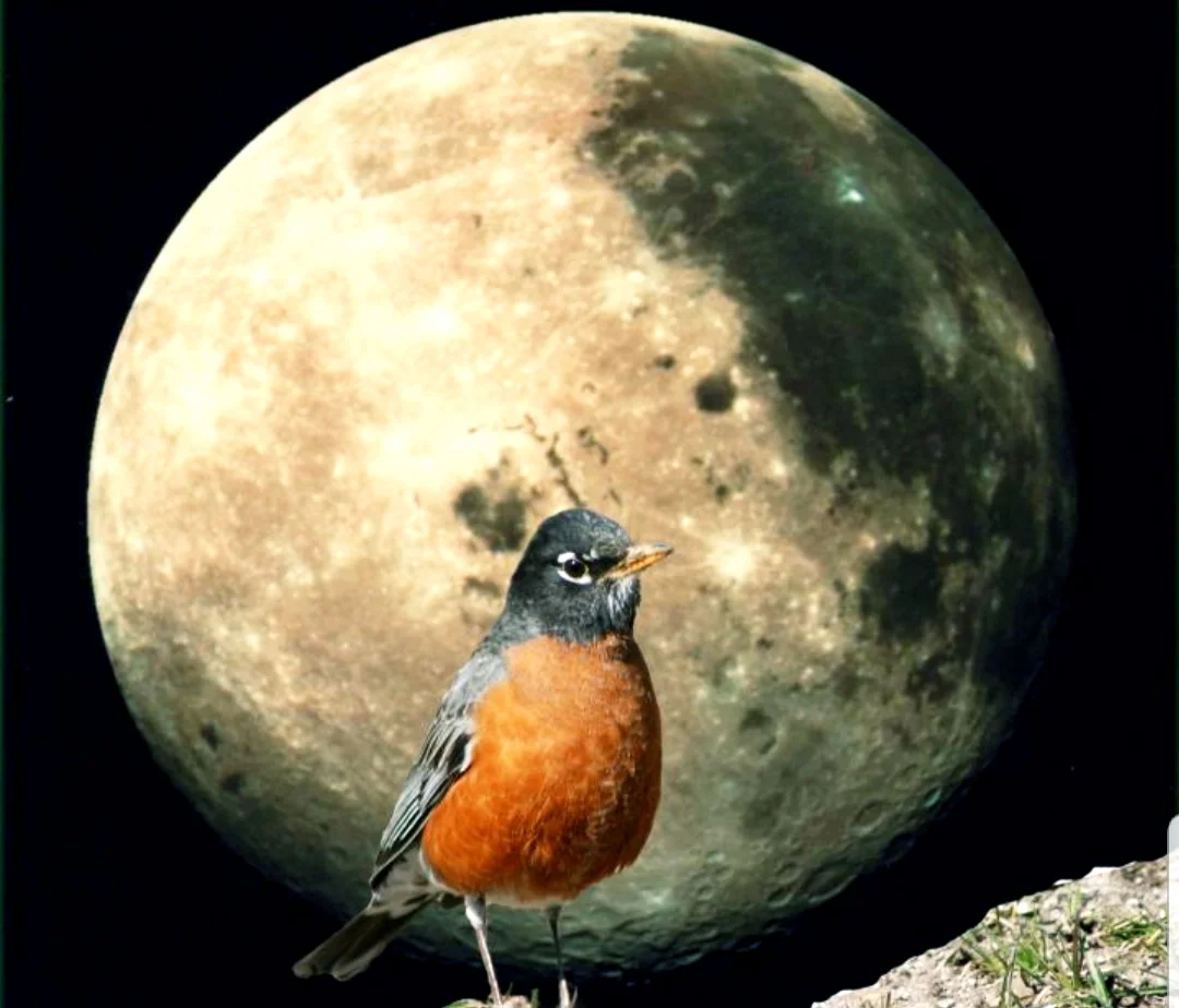 Full Moon Meditation - Full Worm Supermoon