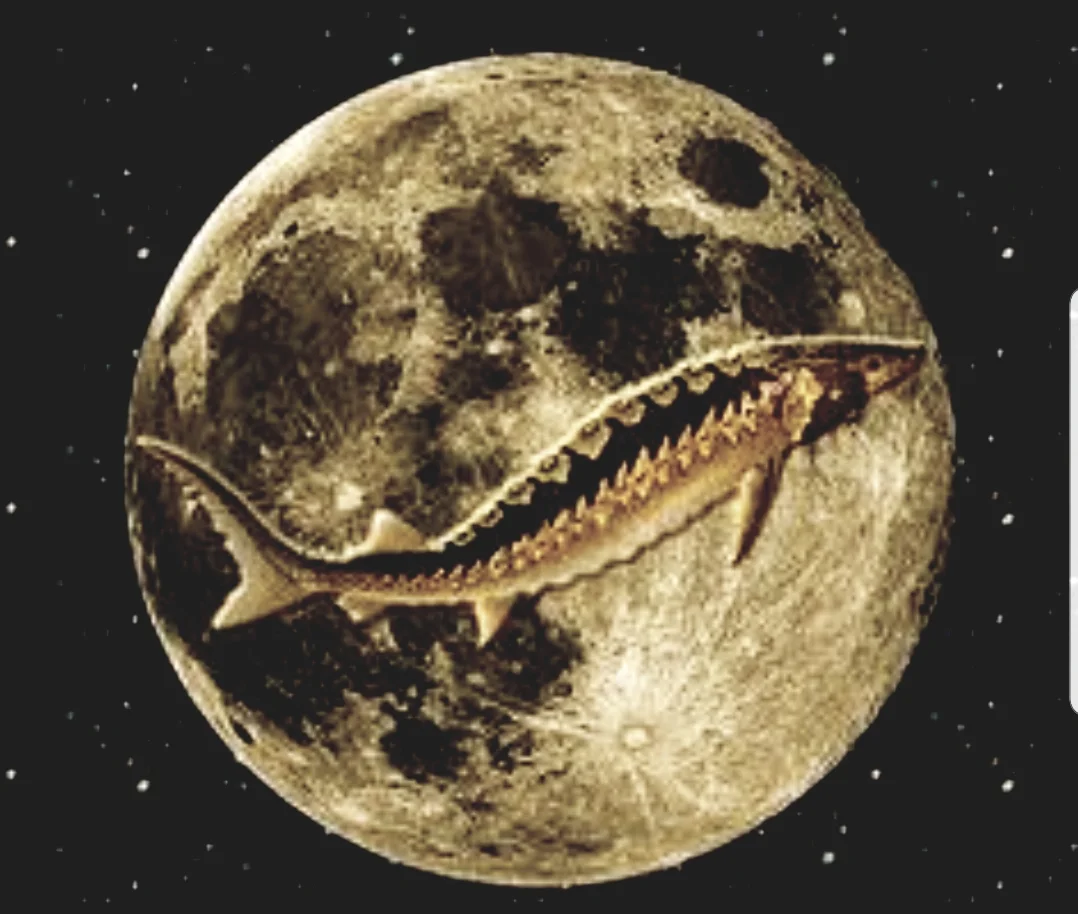 Full Moon Meditation - Sturgeon MOON