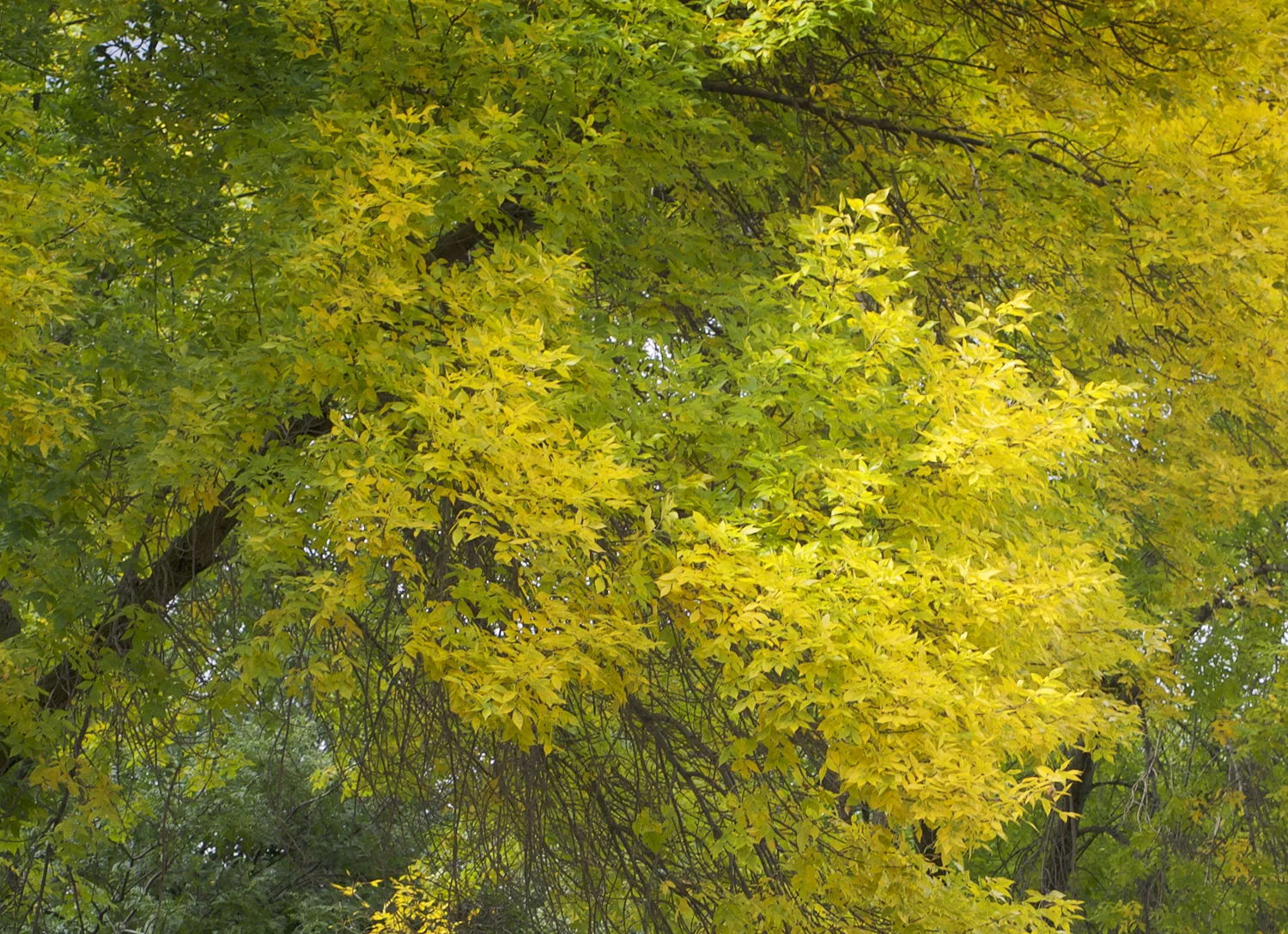 DSC_7785_sized_part-2.jpg