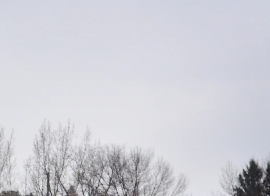 _DSC6290_sized_part-2.jpg