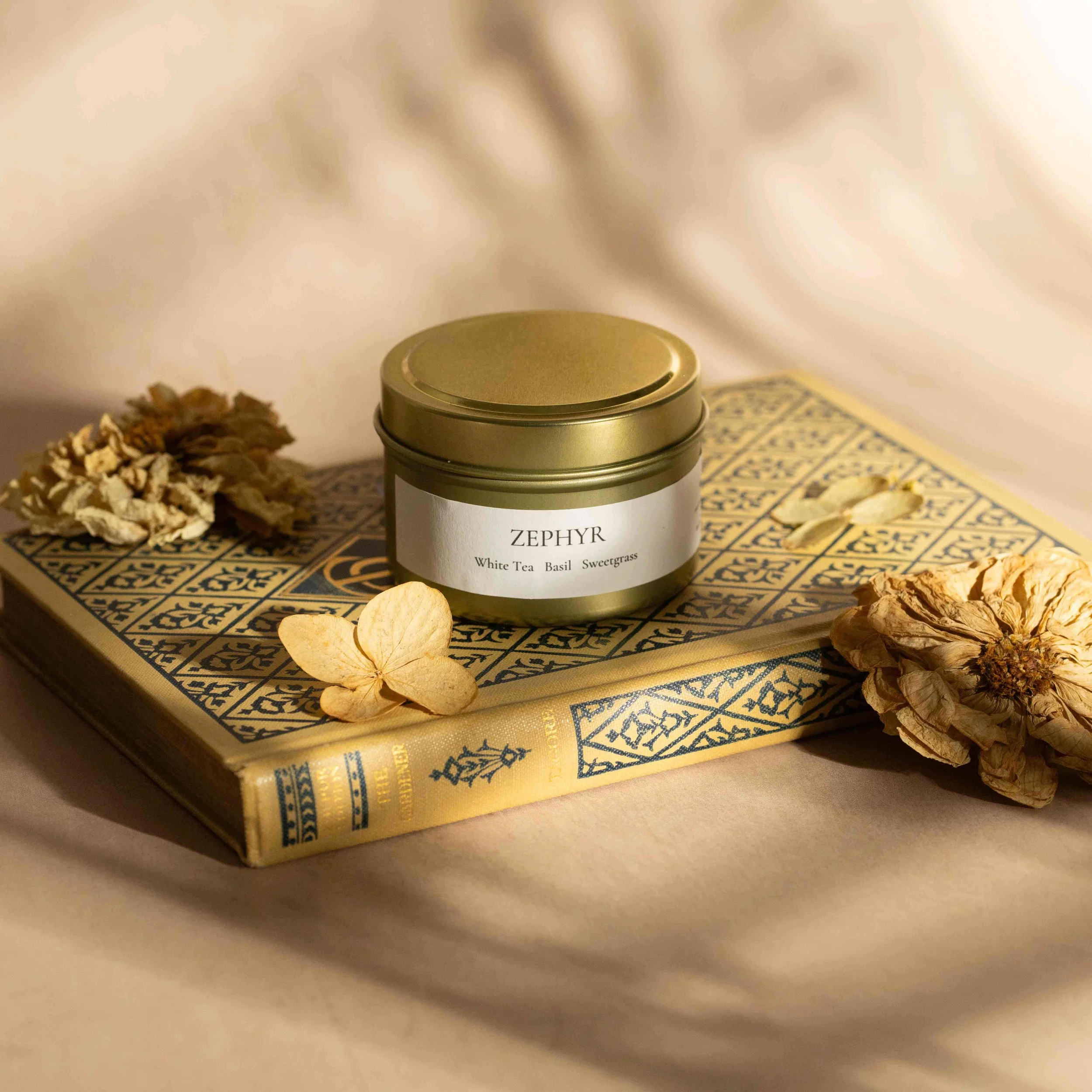 ZephyrYesAnd Candles 134.jpg