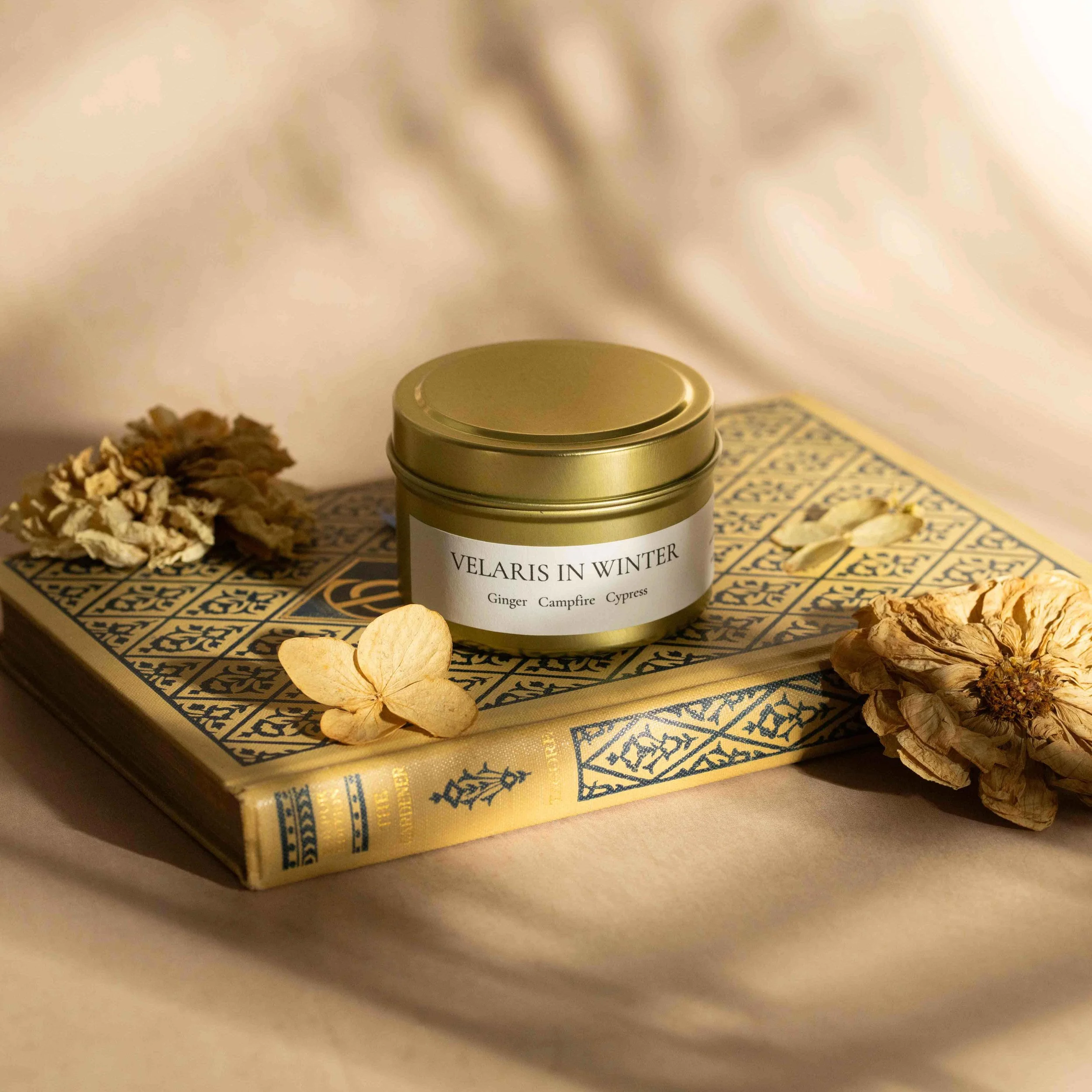 Velaris in WinterYesAnd Candles 116.jpg