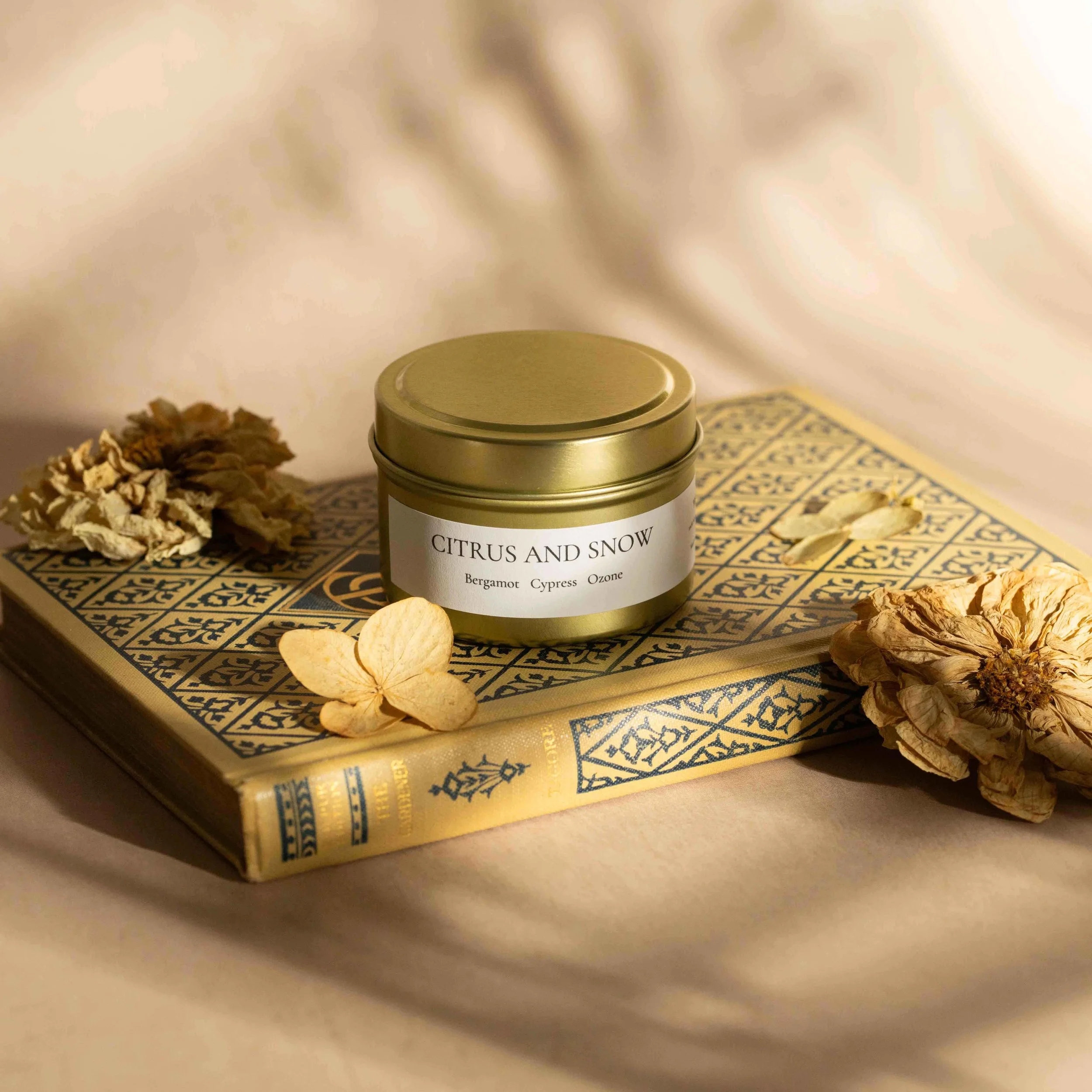 Citrus and SnowYesAnd Candles 012.jpg