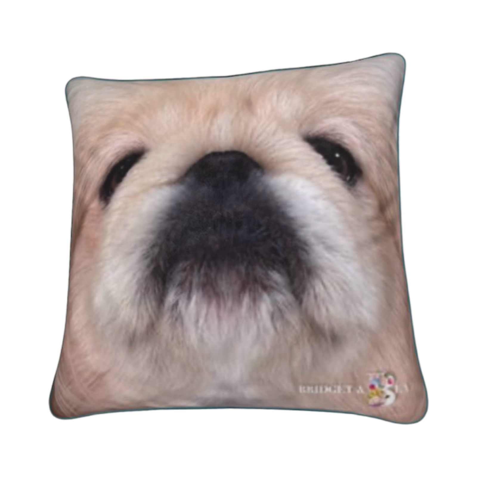 LORD ERIC CUSHION
