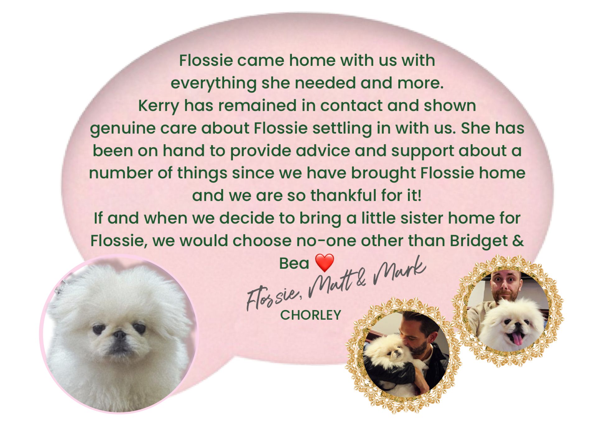 A pink heart-shaped card with a message about Flossie, a small white dog, featuring three photos of Flossie and her owners, Matt and Mark, with decorative gold frames around the photos.