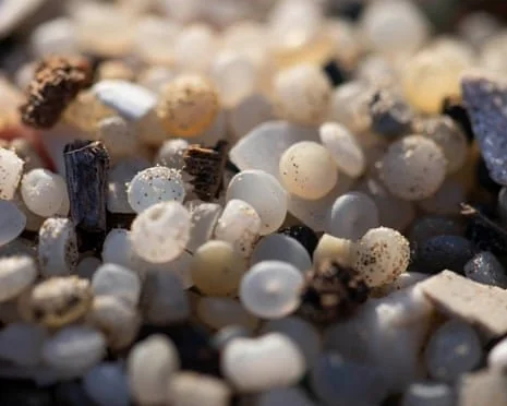 Plastic pollution alert: Tiny plastic pellets known as nurdles have been found at 84% of UK Sites of Special Scientific Interest, causing alarm among environmental groups and scientists. These nurdles, used in plastic manufacturing, end up polluting 