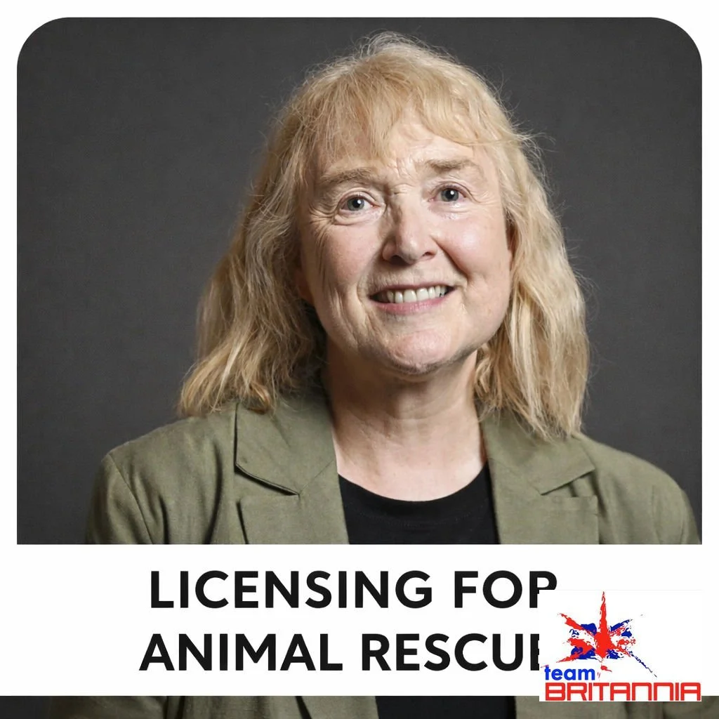New legislation is required to protect vulnerable animals in England, as dog and cat rescue homes currently operate without a licensing requirement. While many organisations provide exceptional care, the lack of regulation makes it difficult to monit