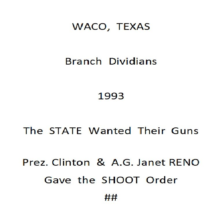 zz WACO Gun Grab 1993.jpg