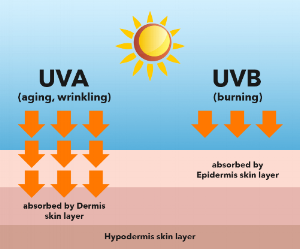 top-4-products-to-keep-uv-rays-at-bay3.png